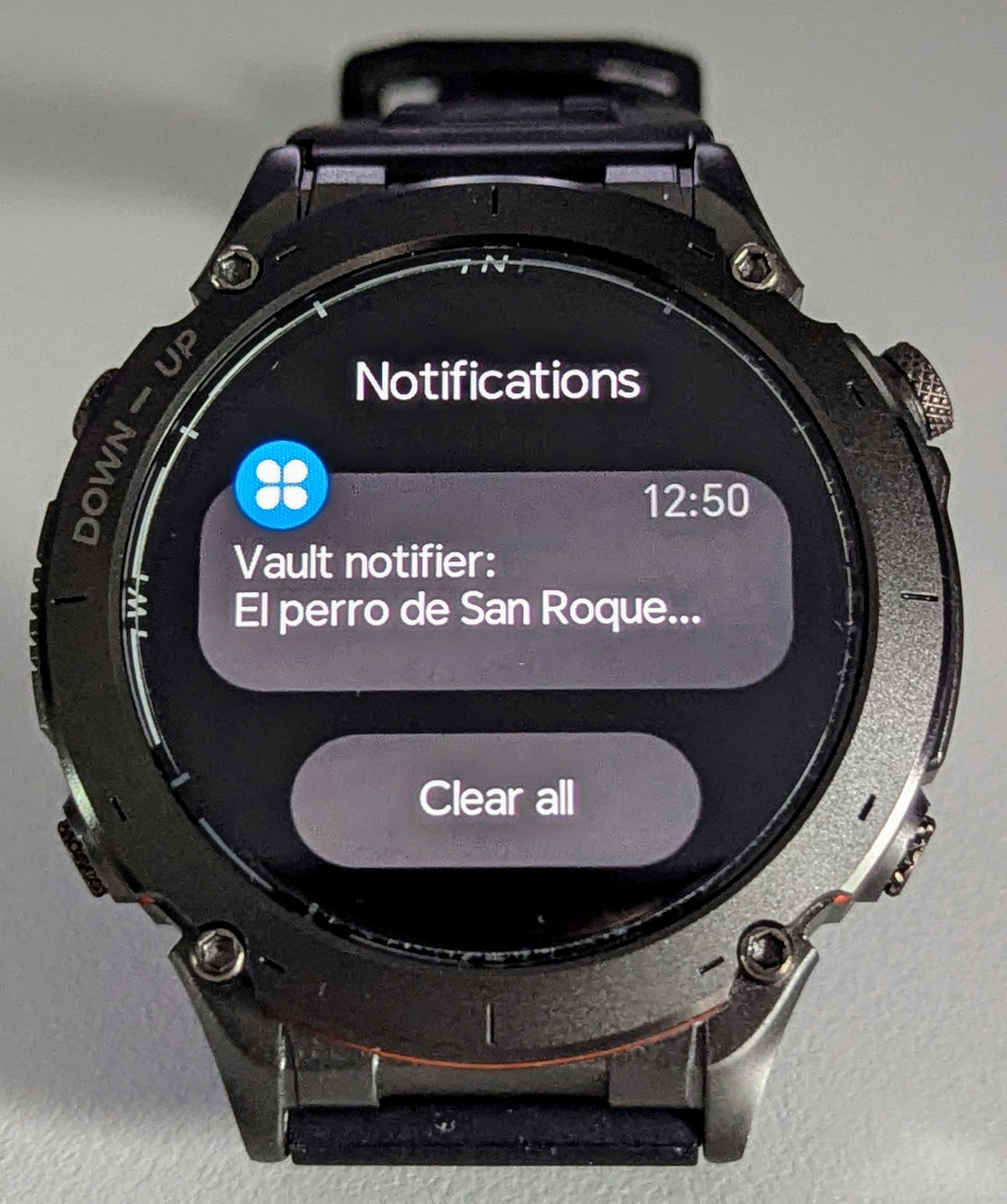 Y101 notifications